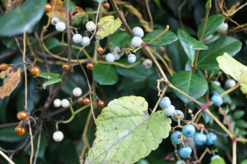 hiyokomama's tweet image. 私にとっての
夜更かしをしたので
眠いです

おはようございます

#FNS歌謡祭東方神起