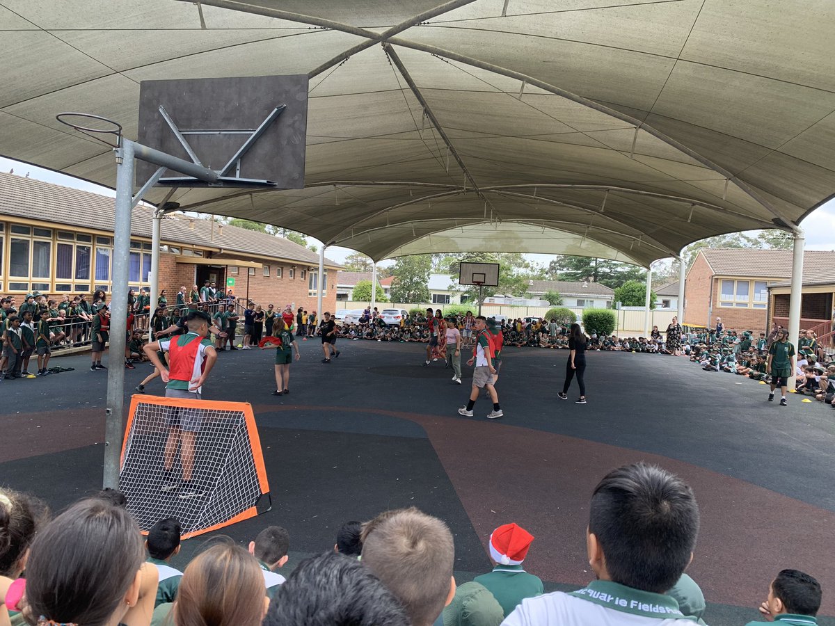 MacquarieFieldsPS tweet media