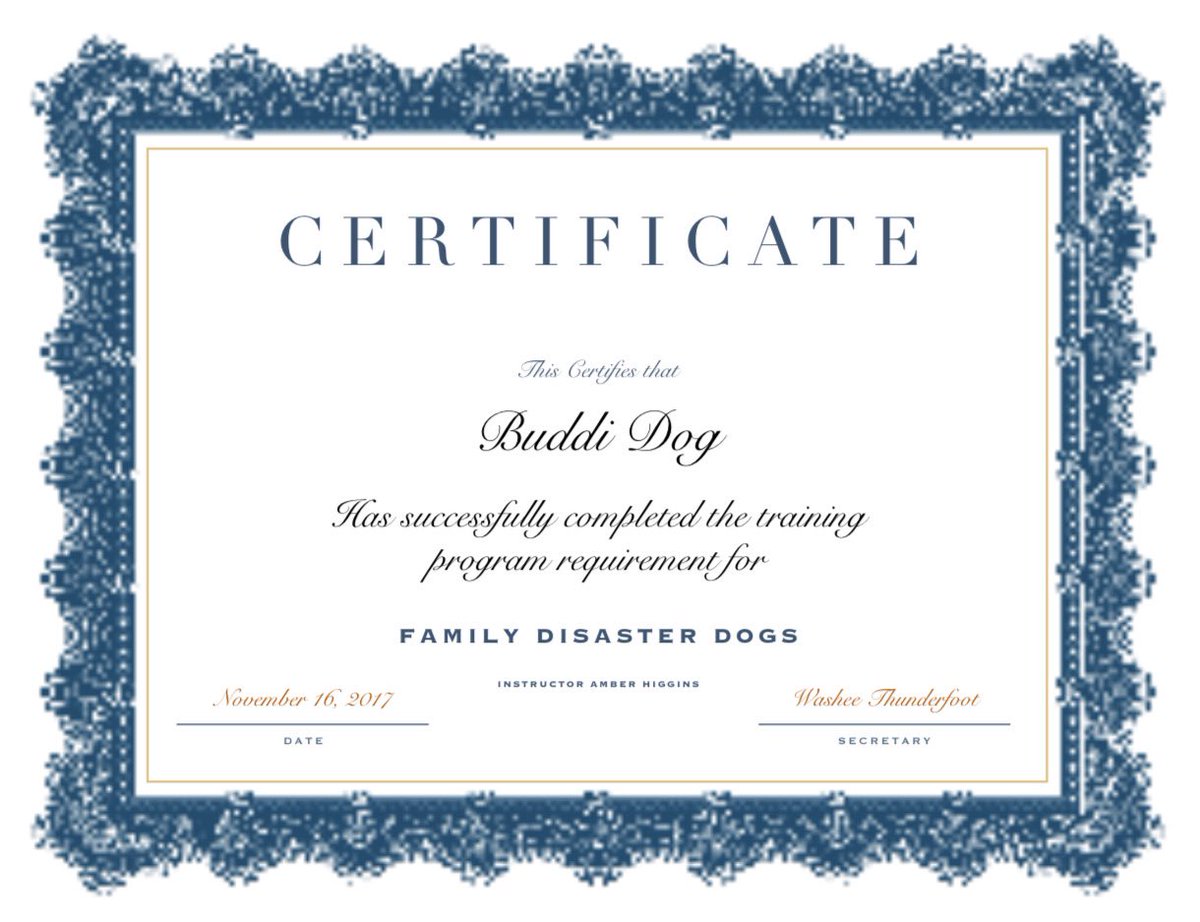 mssoutherndixie's tweet photo. Our Humom dug out our FDD Certificates to share with everyone! It’s so much fun learning and helping our family! Y’all can get one too if you want by sending pics or videos of you doing any of the free lessons on website😍 @URDogCanRescueU https://t.co/hKSQVTwzlo #dogs https://t.co/bKZfDRVsma