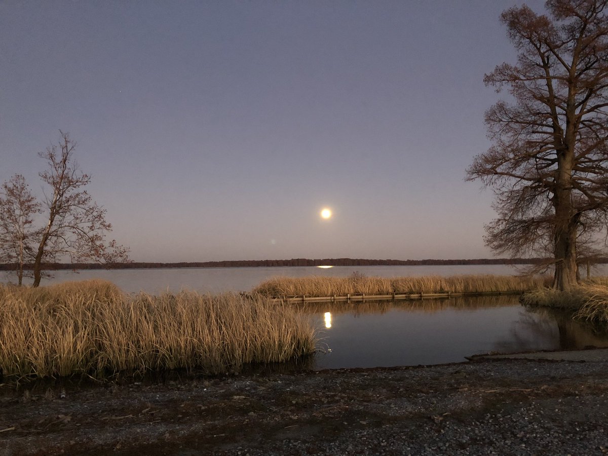 Moon rising over Reelfoot Lake @WBBJ7TomMeiners
