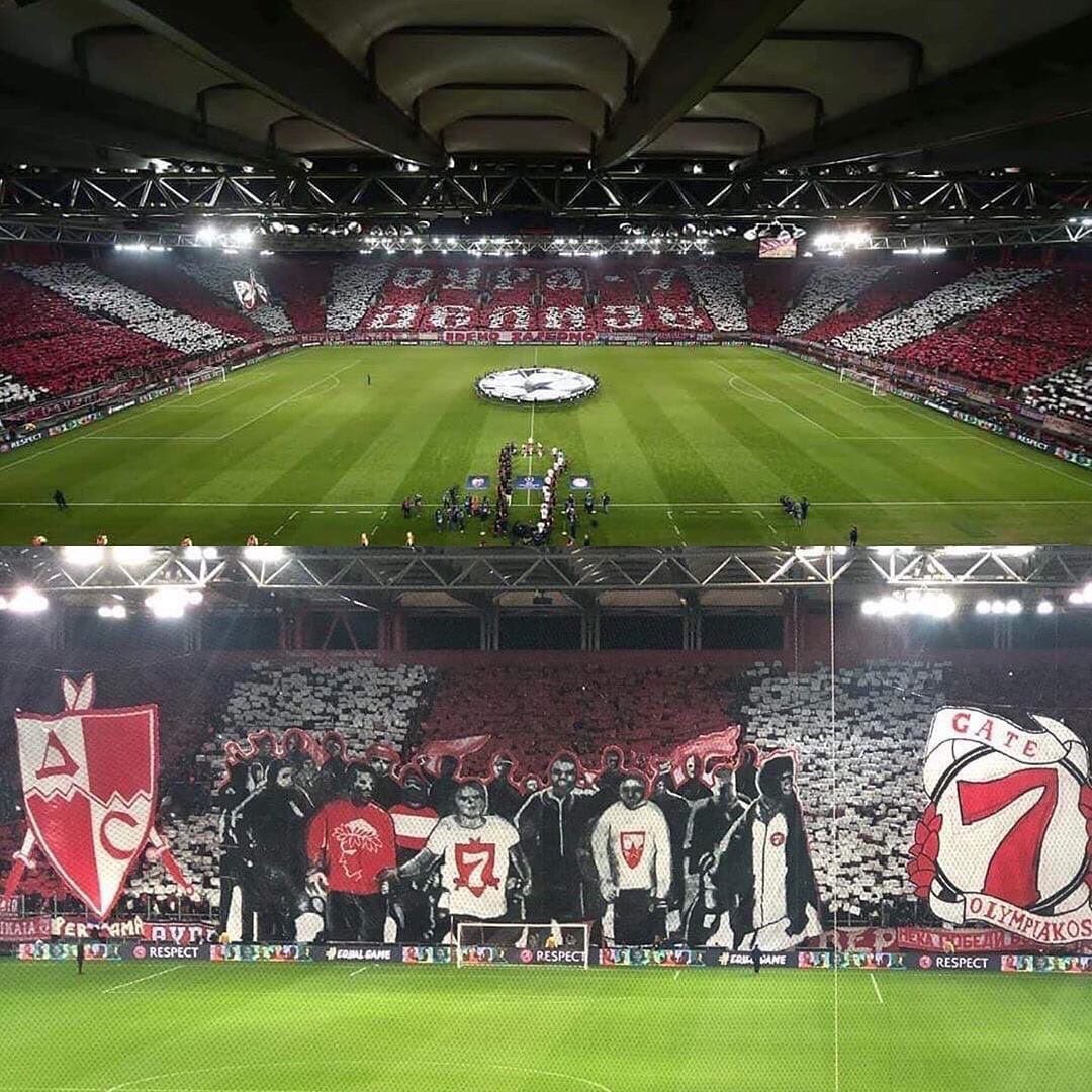 crvena zvezda olympiakos