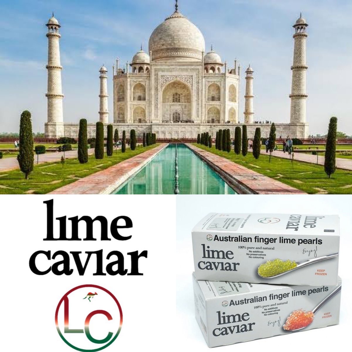 Our multi-award winning lime caviar is now being exported to Delhi, India 🇮🇳 More info: info@limecaviar.net #limecaviar #fingerlimes #india #indianfood #indianchefs #exportquality