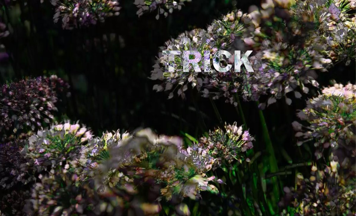 ThirdCoastFest's tweet photo. Looking for new inspiration? Want to hear some of the brightest & best voices in the audio industry? Check out the pieces curated for our #ThirdCoast19 Listening Reels: https://t.co/lKTKOm838u
Today, we're sharing all the pieces from "Trick," parts one & two! https://t.co/8CuWxDdFWM