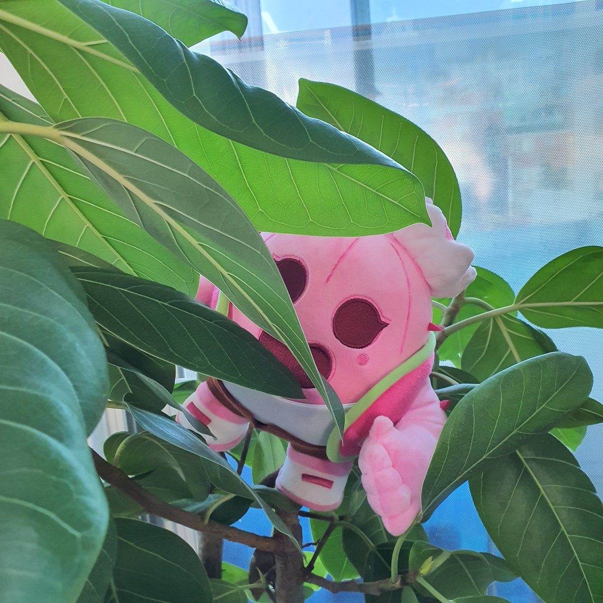 GWEN_brawlstars's tweet photo. @TomBrawlStars hi guys🌸 https://t.co/QoJQIFy3UJ