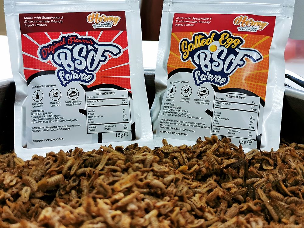 FoodNavAsia's tweet image. Soldier on: Malaysian start-up turning to black soldier flies as sustainable protein for Asia #lifeorigin #malaysia #sustainability #insectprotein #alternativeprotein  buff.ly/2RGToZN