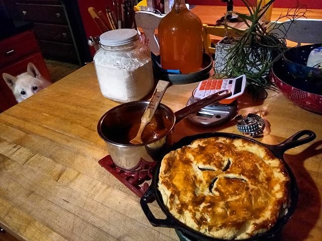 foodloverPDX's tweet image. I made my first tourtiere tonight thanks to the new 2019 edition of #joyofcooking! If you don't know it's a Quebecois French-Canadian savory meat pie that's traditionally served at Christmastime. I made a yummy tomato relish to go with it with by reducin… ift.tt/2ruBeQy