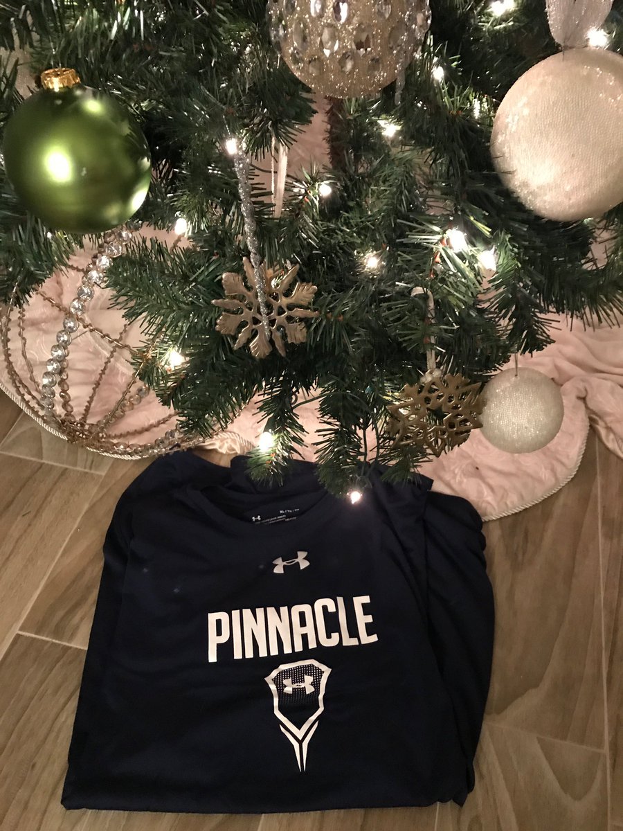 Christmas Swag