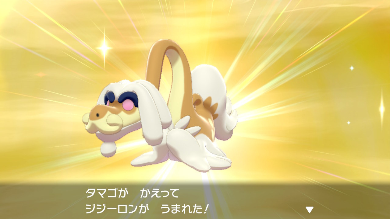 白 V Tvittere ソロレイド用のジジーロンふかふかしてたらなんか産まれてしまったのでこのおばあちゃん育てます ちな剣盾初色違いです わはは T Co Zxofp9qinl Tvitter