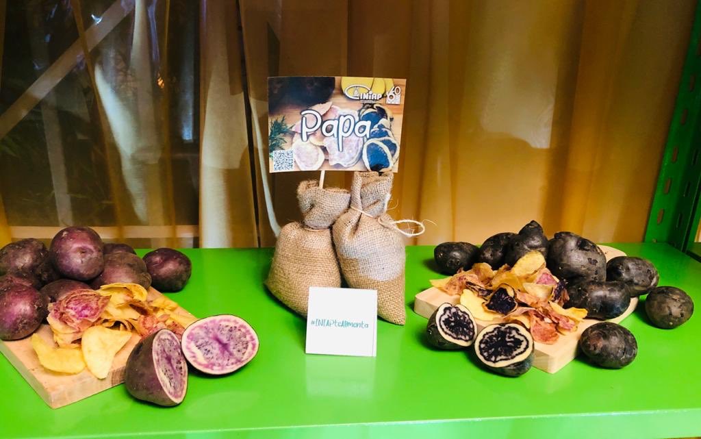 INIAPECUADOR's tweet photo. Las variedades de papa del INIAP fueron parte de los platos elaborados por @TasteEcuador en la celebración del #diadelagastronomiaec
 #INIAPteAlimenta https://t.co/Gan9QpZ3Qm