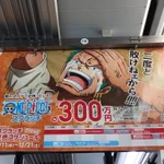 こんなゾロ見たくなかった？ワンピーススクラッチの広告でギャンブル依存症みたいになる!