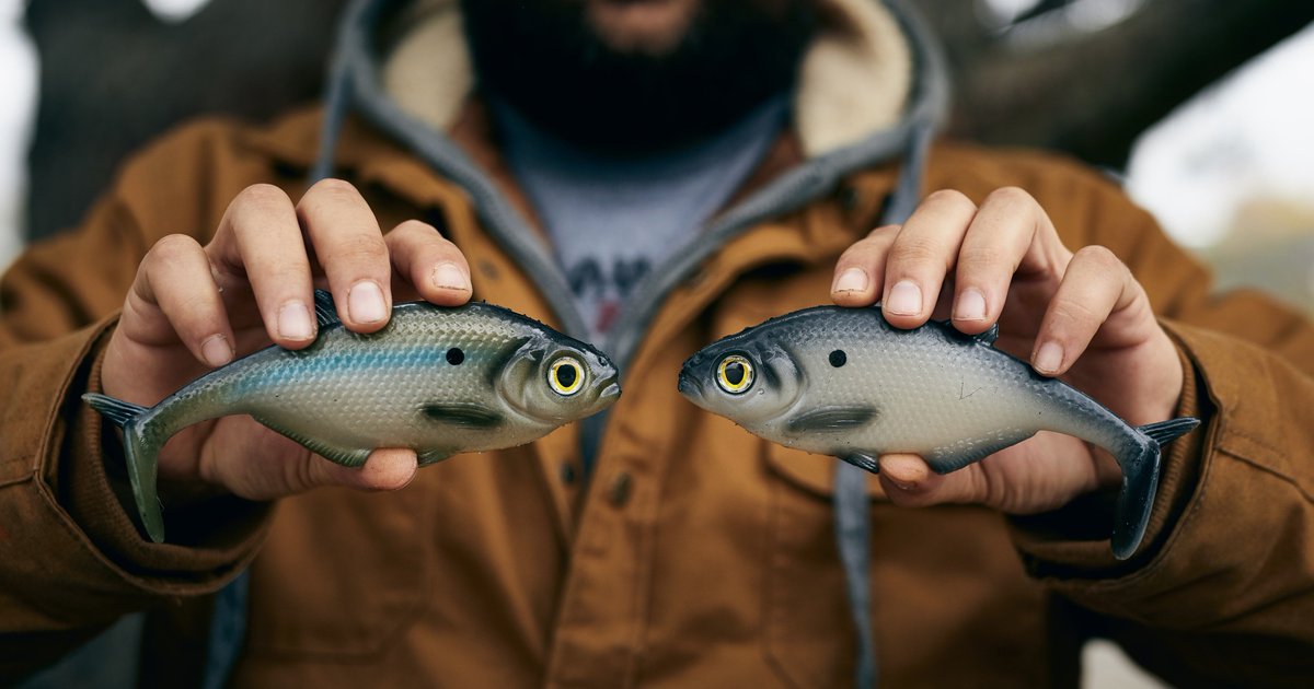 TackleWarehouse's tweet photo. 🔥DAILY SPECIAL🔥
👉 https://t.co/HaD3AOq2S2

Now: $14.99 | Save: $5.00 | 25% Off

#TackleWarehouse #SmashTechBaits https://t.co/9e7o0lumk1