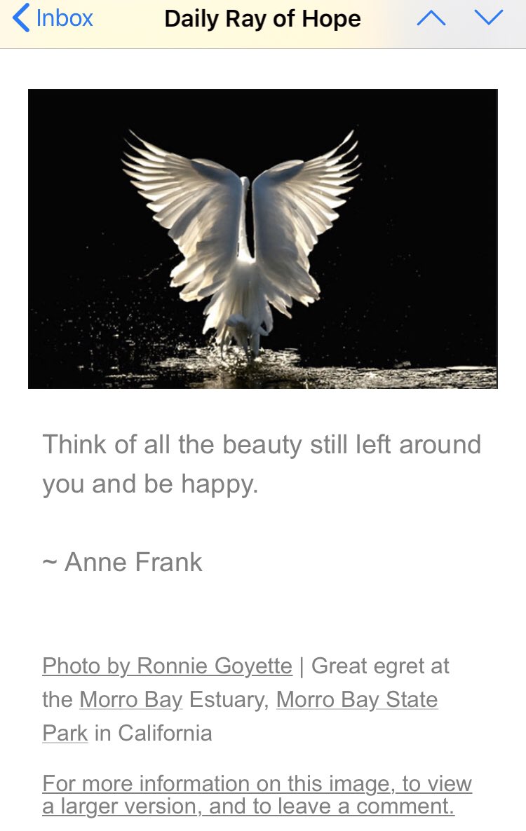 We LOVE the Daily Ray of Hope email from <a href="/SierraClub/">Sierra Club</a> ... sign up here: sierraclub.org/sierra-club-em…