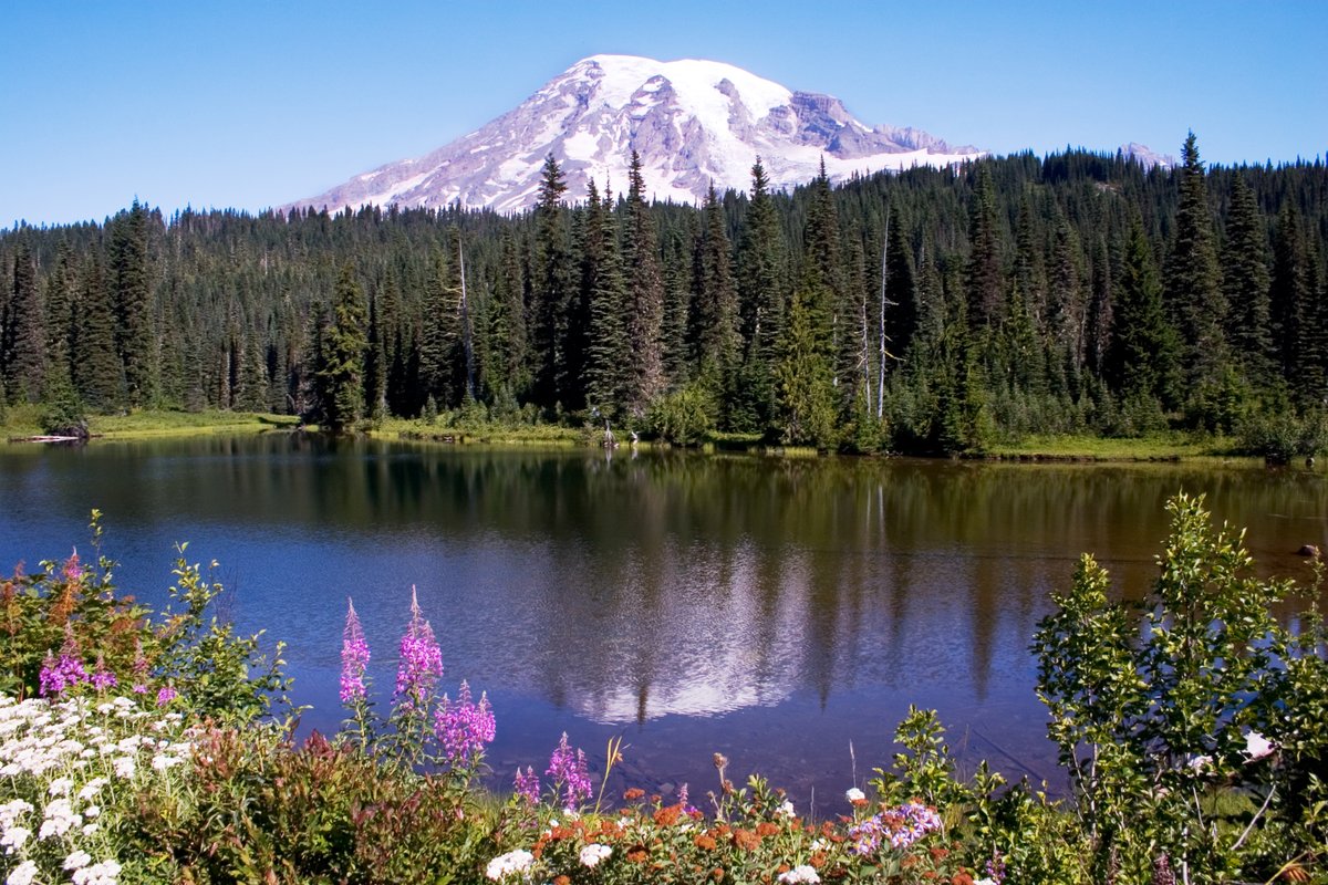 ForestServiceNW's tweet photo. And the winner of "Favorite Mountain in the Pacific NW is . . . Mount Rainier! Standing at the majestic height of 14,410 ft, this incredible mountain is an active volcano &amp; is the most glaciated mountain in the contiguous #USA. Plan a visit today! 🗻

#InternationalMountainDay https://t.co/JIx34trk2q