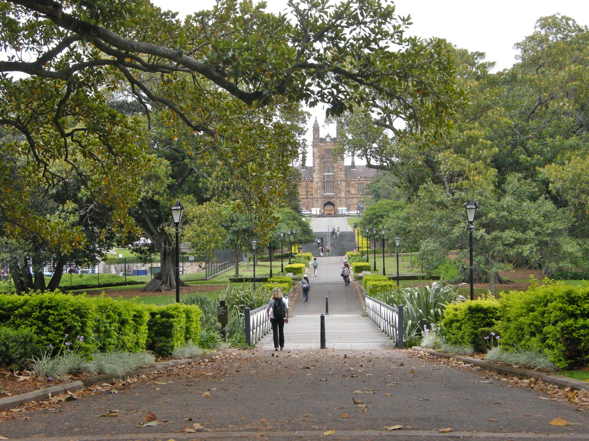 School, College, TAFE and Universities  in Sydney
