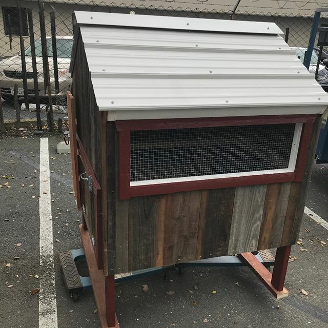 PaulRarePoultry's tweet photo. Available at https://t.co/DqZFotC5iQ
#MiniCapeCodCoop MiniCapeCod #customcoops #ChickenCoops #henhouse #Customized #Custom #Coop #Concordfeed #concordfeedandpetsupply https://t.co/UBuIfKRfAr