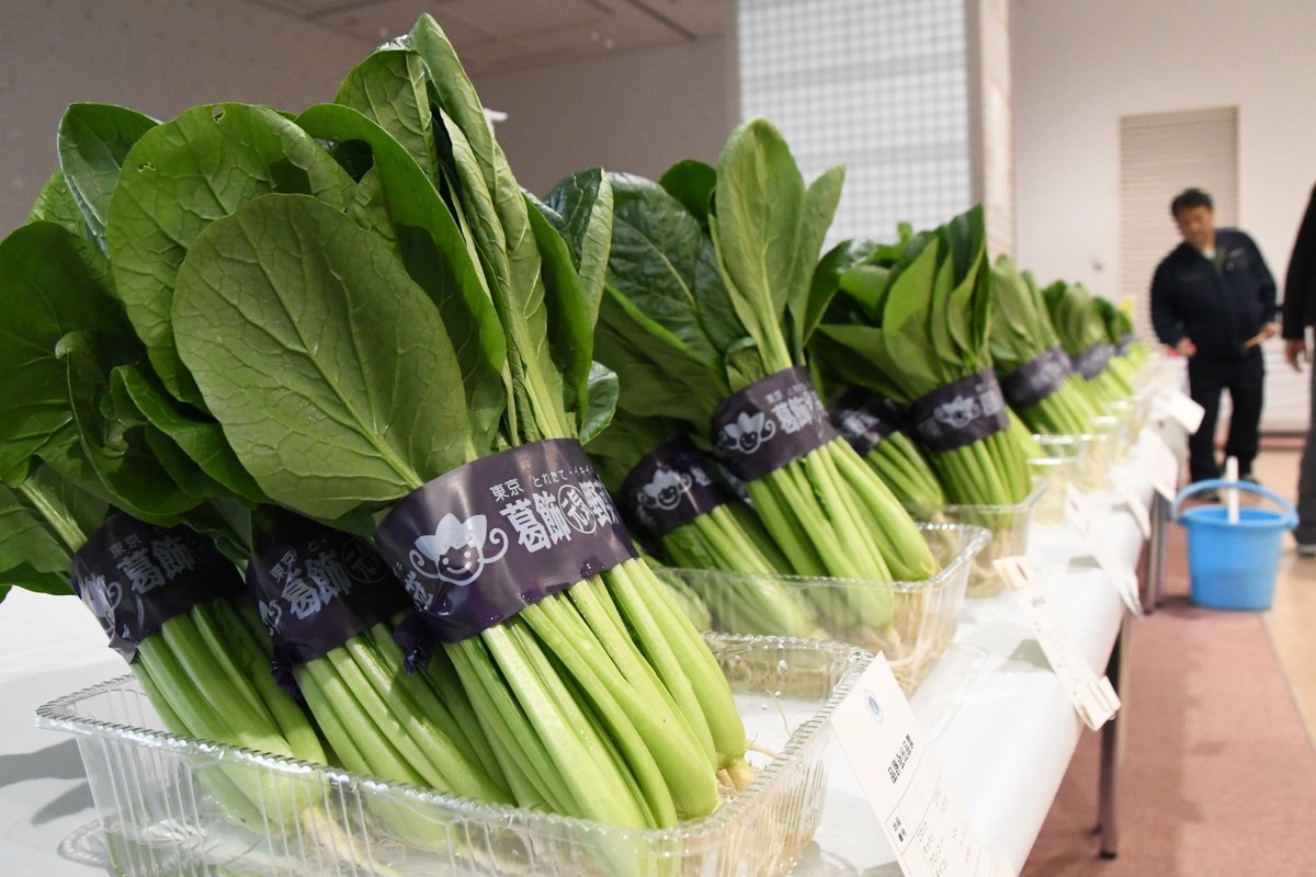 葛飾区 Auf Twitter 12月11日 水 テクノプラザかつしかで 第56回秋野菜 品評会 が実施されました 区内農家のみなさんが丹精込めて育てたみずみずしい野菜39品目 214点がずらりと並びました T Co Rmazjr0jvd 葛飾 野菜 農業 T Co Ycbdlpb2pg 葛飾区 Auf Twitter 12月11日 水 テクノプラザかつしかで 第56回秋野菜 品評会 が実施されました 区内農家のみなさんが丹精込めて育てたみずみずしい野菜39品目 214点がずらりと並びました T Co Rmazjr0jvd 葛飾 野菜 農業 T Co Ycbdlpb2pg