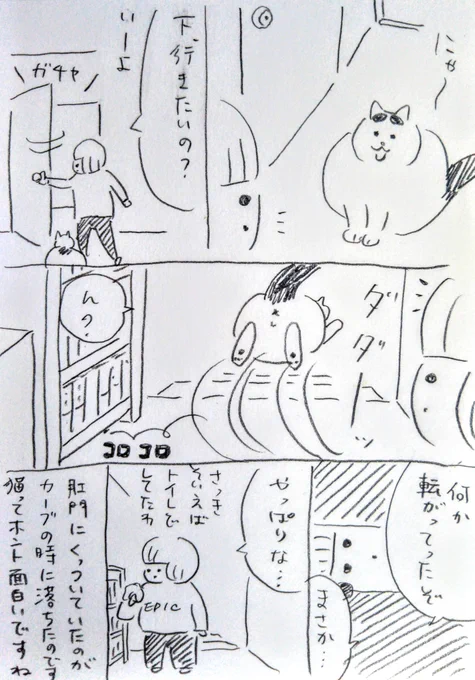 【猫まんが】ついさっきの出来事
#猫ニャッ記 #猫まんが #ねこ 