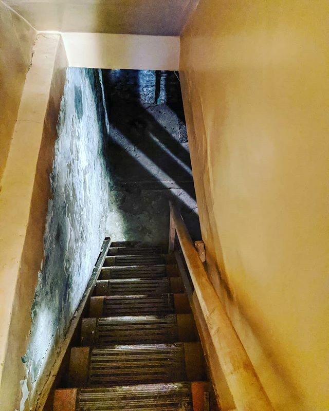 When you're by yourself in an unkempt, 120yr old home that you KNOW is empty yet a lone basement lightbulb is on when you arrive.... Holy heck are those legs?! 😱

I still went down there, btw. ift.tt/2LMNHpx