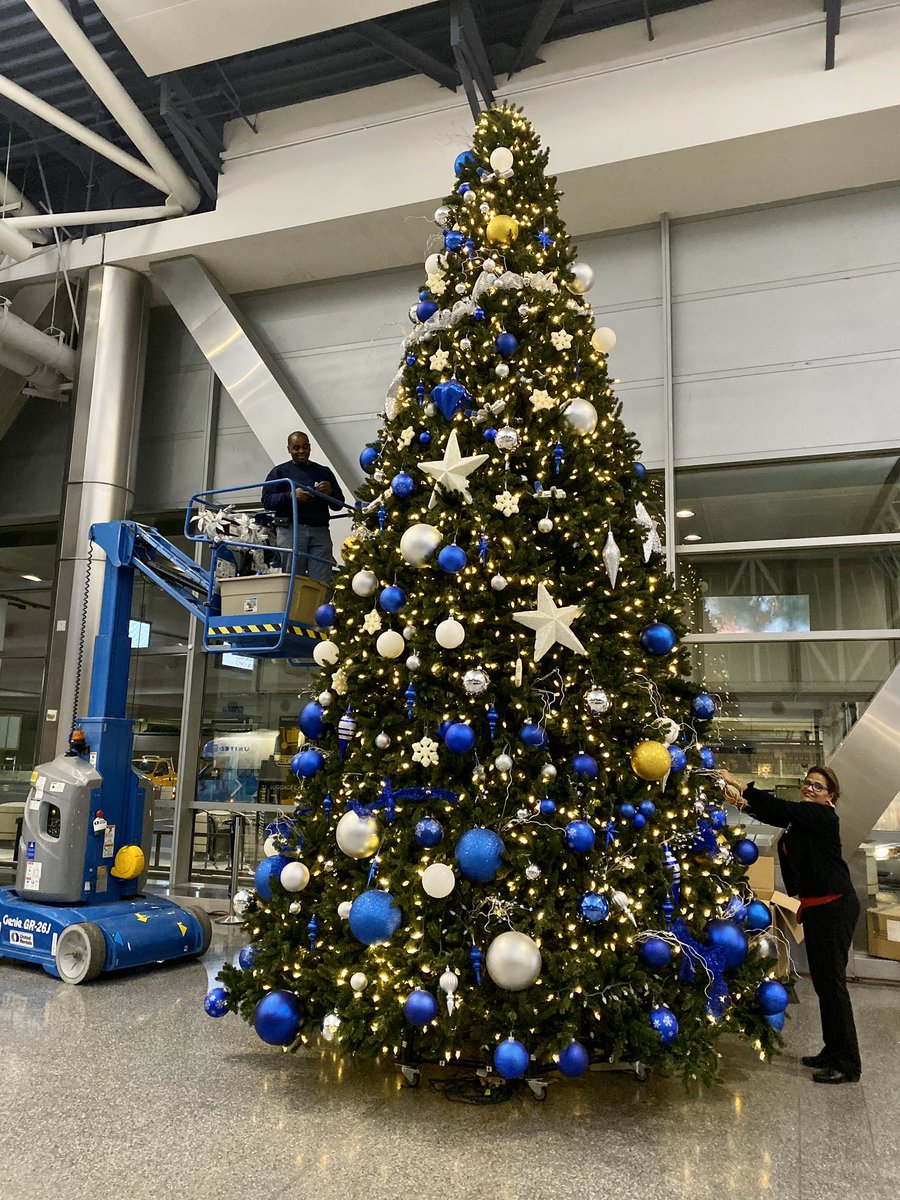 TexasSamuri's tweet photo. It’s a IAH tradition that Stan Evans puts up the tree here at United!

@weareunited #beingunited #Christmas https://t.co/Lsuilw8DSj