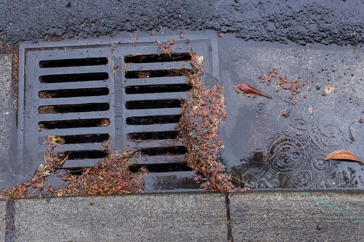 EsquimaltBC's tweet image. Help keep water flowing smoothly! Ensure that any surface that drains, such as those located at the bottom of driveways and stair wells, are clear of mud, leaves and debris. #falltips #Esquimalt