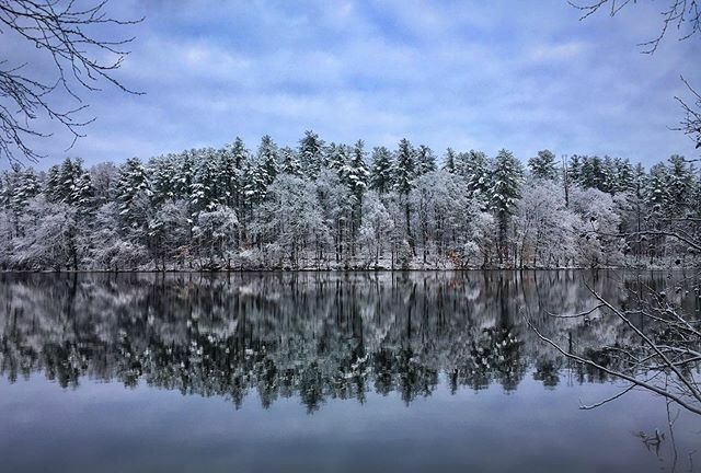snow day | taken by steve o ift.tt/2LLN1ke