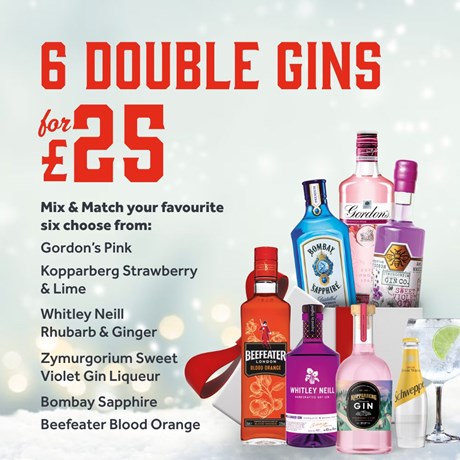 MacebearerThe's tweet photo. Out with friends this Christmas!?🎅 Then why not make the most of this fabulous #Gin offer at @MacebearerThe. 

Might just be the tonic you need! 🍹🙈🥳 https://t.co/hFjBr9pxUW