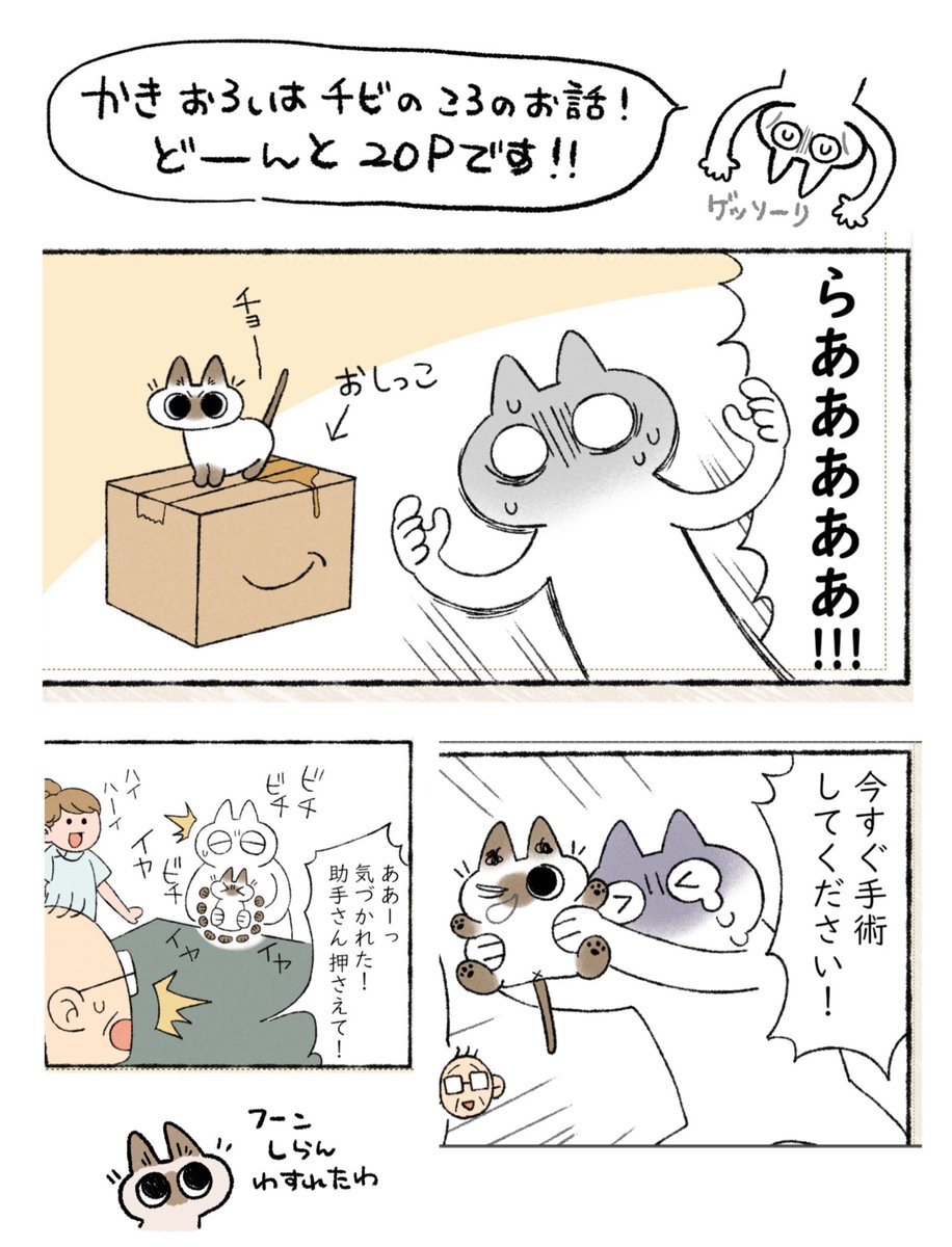 #シャム猫あずきさんは世界の中心 
ついに明日だー!!書き下ろしすごい書いたのでよろしくね(何度でも言う)

  