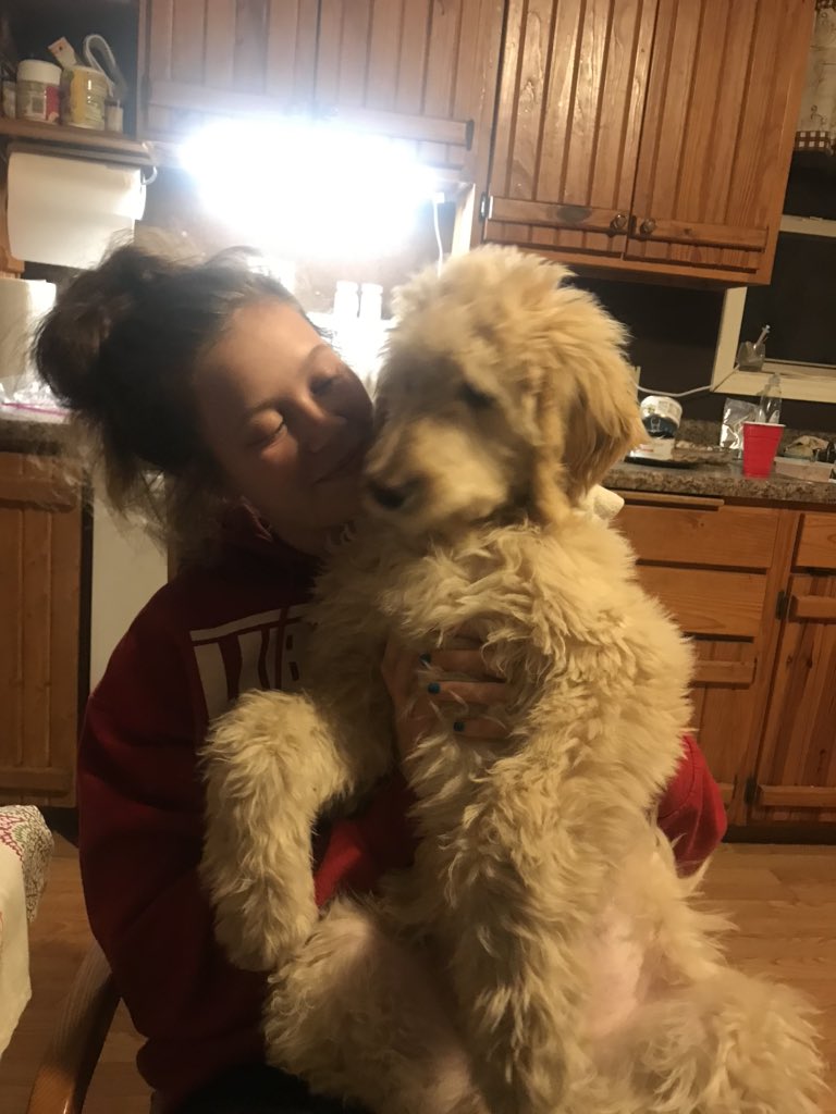 Dawn3K's tweet photo. He’s the sweetest❣️#maverick #doodle https://t.co/0ZfYnfvCfZ