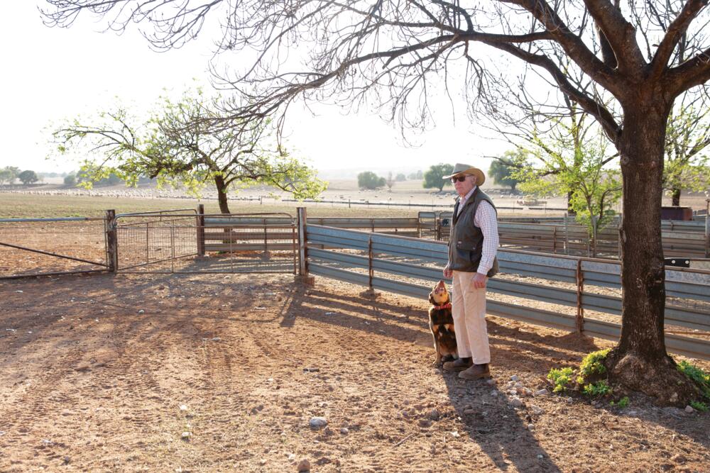 NSWFarmers's tweet image. “It only took me 12 months to be convinced that cultivation just dries the #topsoil out. If you can maintain a good ground cover, that’s the secret of it. The #moistureretention is so much better,” says John Kelly who started #notillfarming 30 years ago &amp;gt; bit.ly/2PAHhLk
