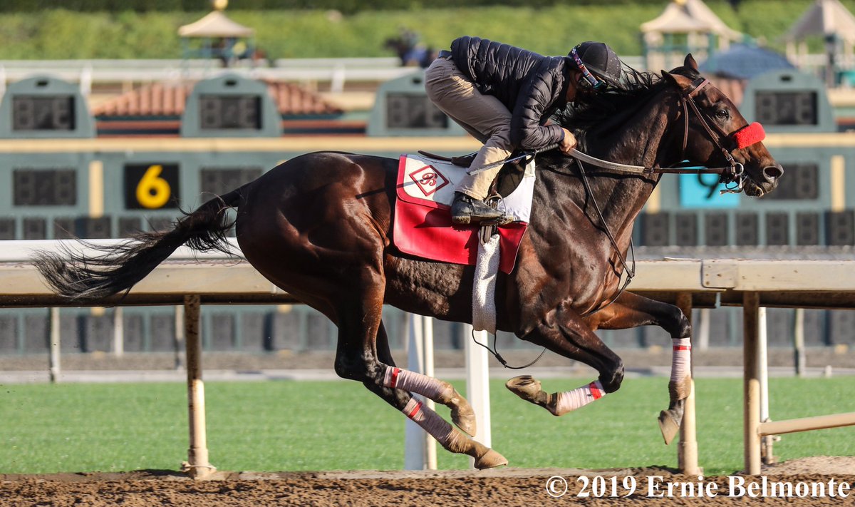 Ernie Belmonte (@erniebphoto93) on Twitter photo Bob and Jackie working this morning under jockey Heriberto Figueroa. <a href="/JustinZayat/">Justin Zayat</a> Bob and Jackie working this morning under jockey Heriberto Figueroa. <a href="/JustinZayat/">Justin Zayat</a>
