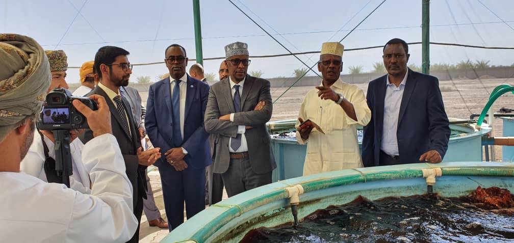 H.E.  @mrbidhaan yes you are at the right place there in Oman. After our fish stocks are depleted by the Chinese, we will talk about rebuilding overfished stocks and aquaculture will be the answer. Again generations will pay for it. Think well! Photo by  @Ibnukaliil /12