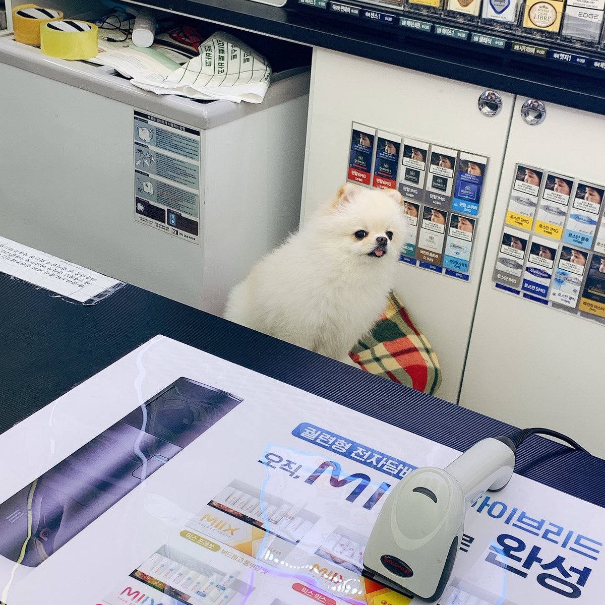 저기 그... 계산해주세요