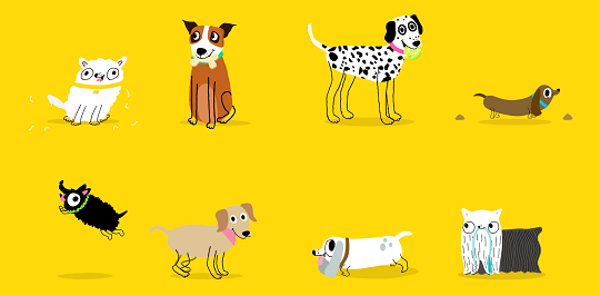 SMGgateway's tweet photo. Do you own a dog, are you thinking of getting one, or do you work with dogs? Please do our survey for @DogsTrust to help us gather views on neutering, and share it far and wide: https://t.co/i4gE9YyqFy
Thank you! 🐕‍🦺🦮🐶🐕🐩 #dogs #research #neutering https://t.co/Sa95xId29j