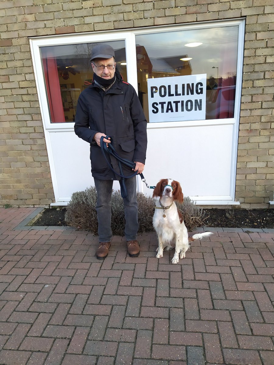 KeithdFlight's tweet image. Lexie helping us register our vote to remove the unelected incompetent shambles from power. #dogsatpollingstations