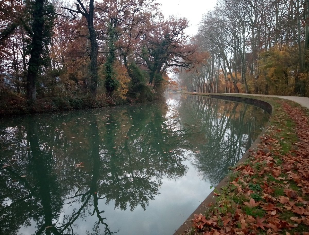 #CanalDuMidi #Toulouse #Occitanie #JeudiPhoto