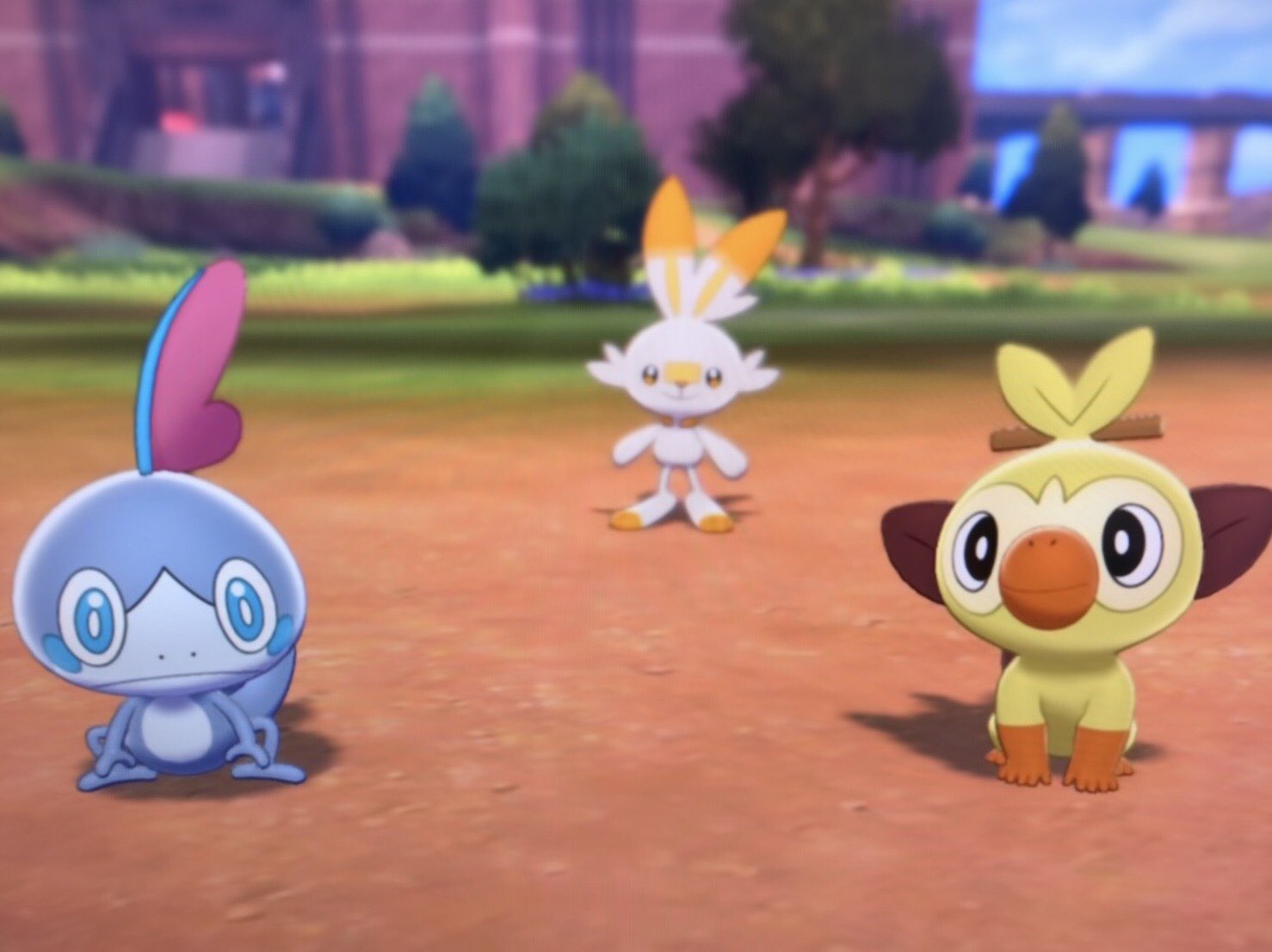 あどしゅがー 御三家色違い揃った ポケモン剣盾 色違いポケモン あどしゅがー 御三家色違い揃った ポケモン剣盾 色違いポケモン