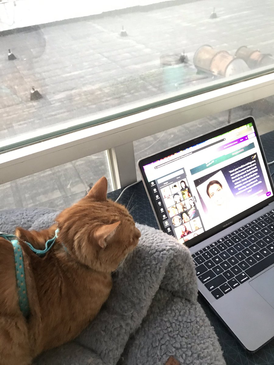 MmeLayman's tweet image. This guy is still working hard! #edurokittens #edurolearning #coetail