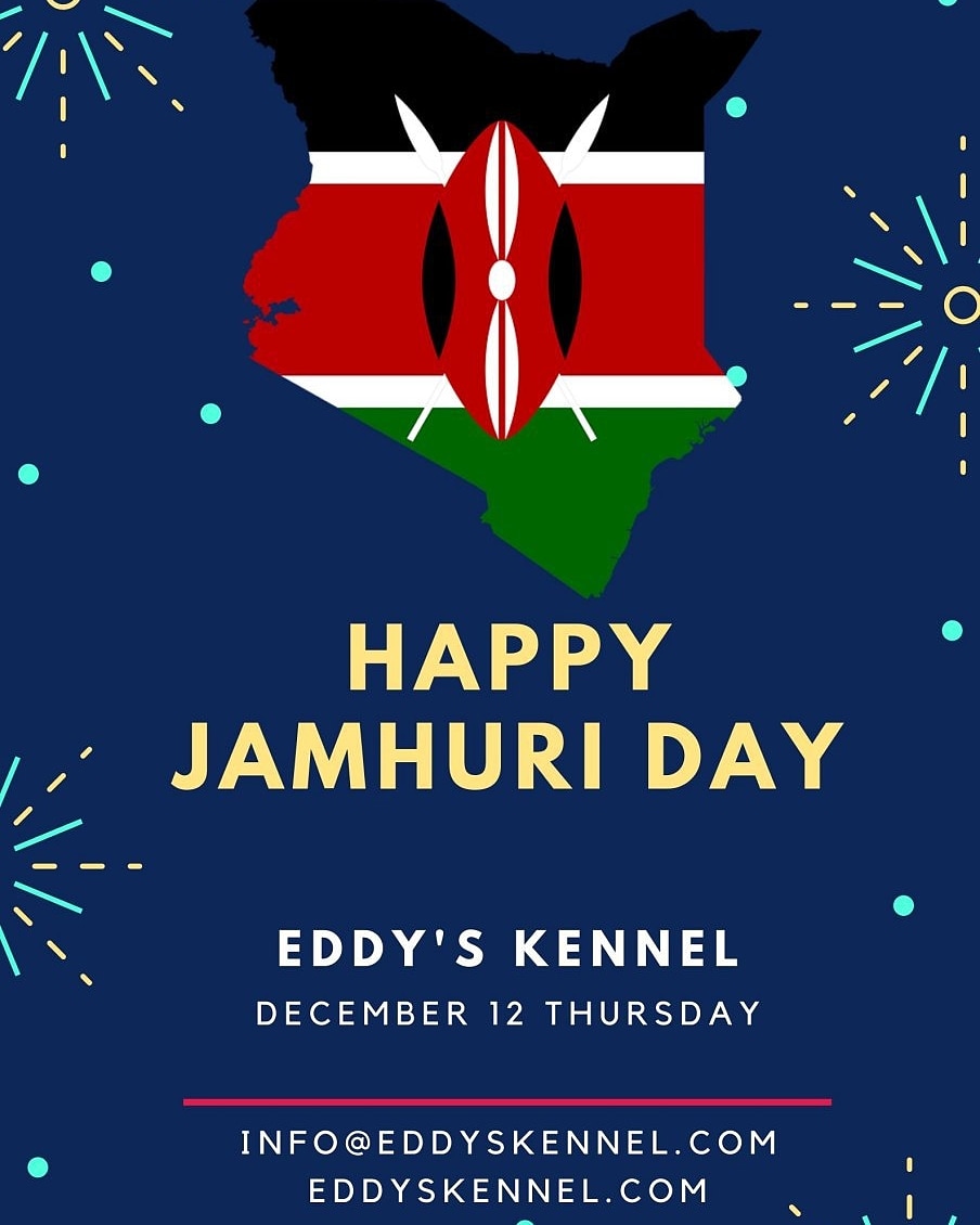 EddyKennel's tweet photo. Happy #JamhuriDay to all our clients and patners 

#ThursdayMotivation #KOTLoyals #IkoKaziKE https://t.co/itI6ljZBqA