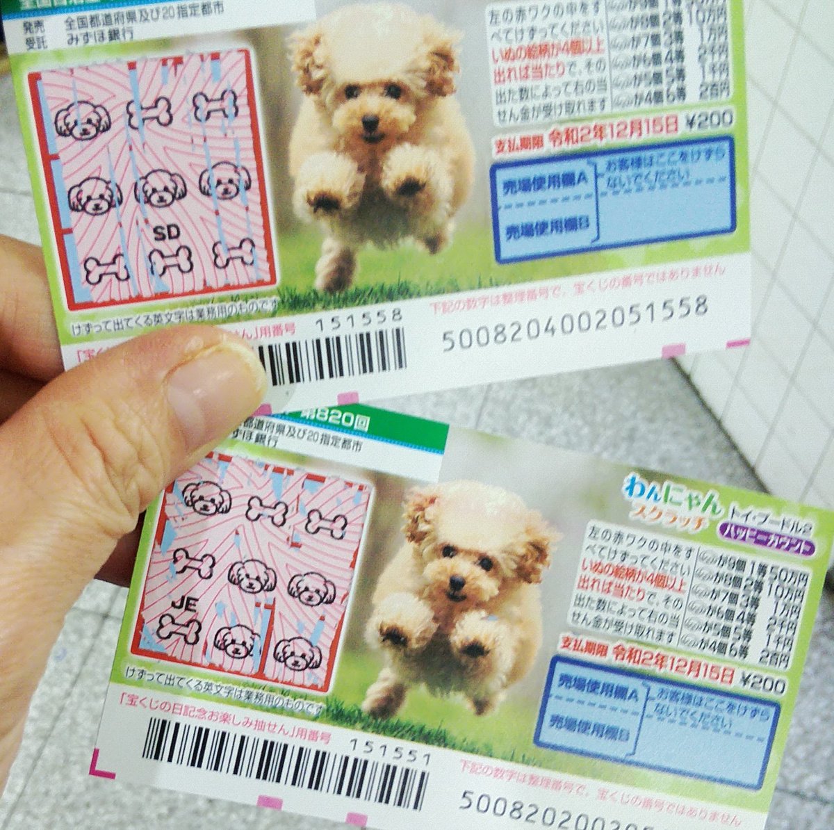 マーミ この前ジャンボ宝くじ買った時に一緒にスクラッチ10枚買って キスマイの宮田くんみたいに削ったら5等当たった 収支はマイナスだけどね このスクラッチの法則は真ん中に犬がいないとハズレではないかと娘と考察した 笑 10万円でできるかな マーミ この前ジャンボ宝くじ買った時に一緒にスクラッチ10枚買って キスマイの宮田くんみたいに削ったら5等当たった 収支はマイナスだけどね このスクラッチの法則は真ん中に犬がいないとハズレではないかと娘と考察した 笑 10万円でできるかな