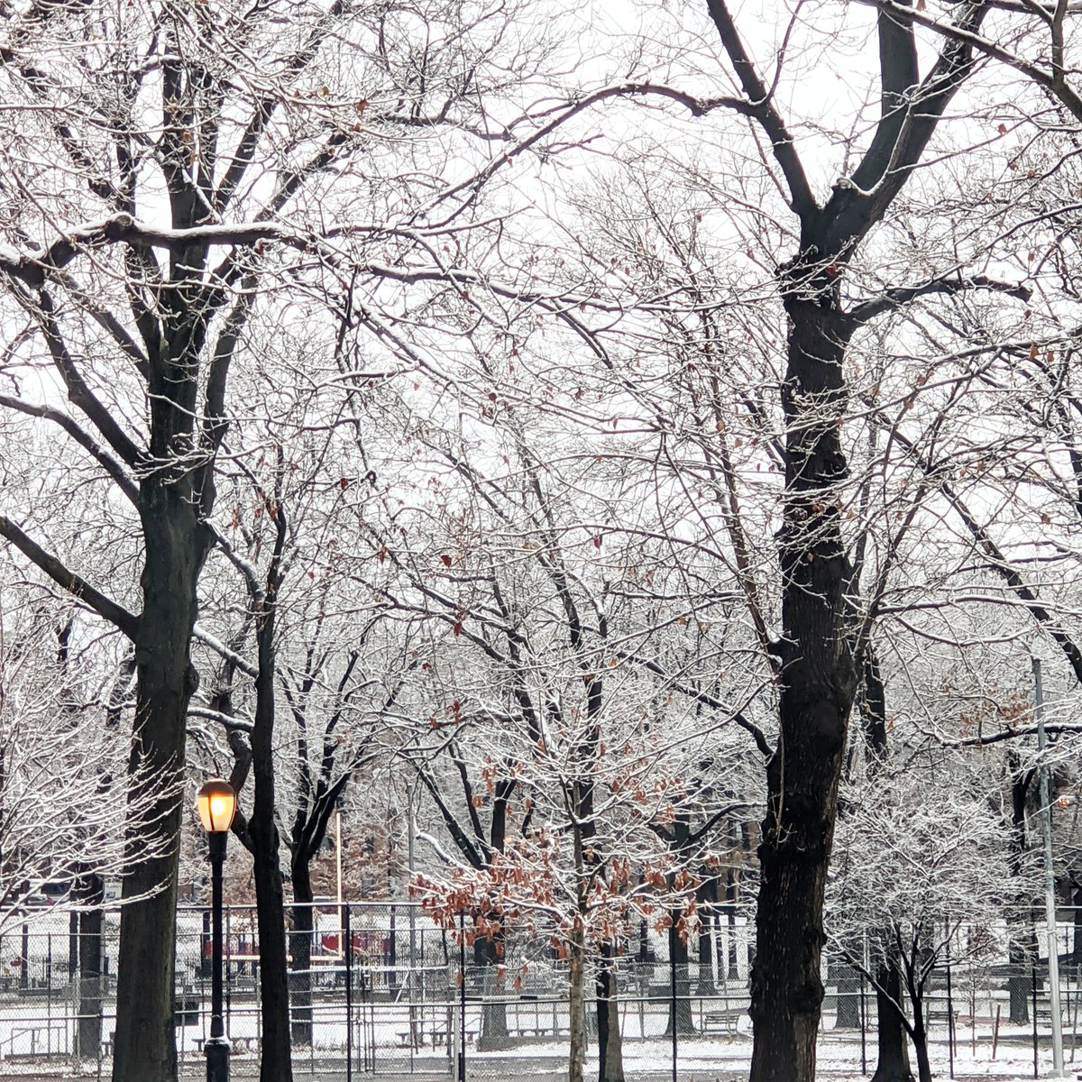 Omega526's tweet image. Picture was taken through the glass of my living room window @google #Pixel4