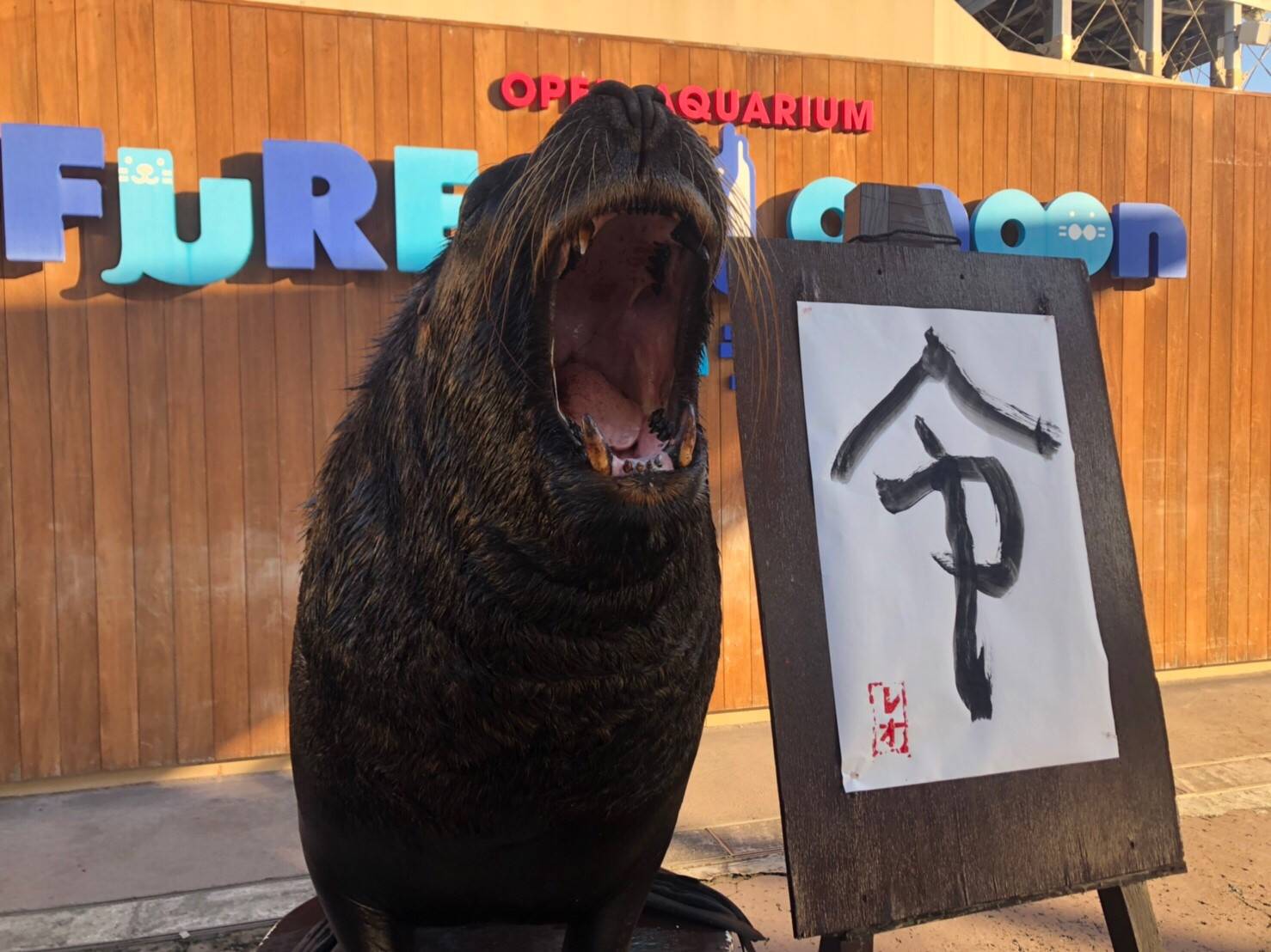 横浜 八景島シーパラダイス公式 今年の漢字は 令 12月15日まではオタリアくんがパフォーマンスで実際に披露します 今年の漢字 令 19年 令和 令和の令 漢字一文字 八景島 シーパラ ふれあいラグーン オタリア T Co