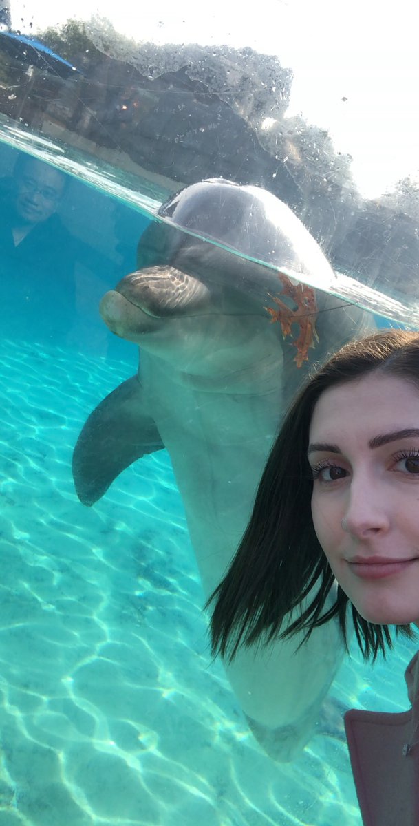 sarahotmama's tweet photo. Think this is a cute photo of me and a dolphin? 
Nope. Check the top left corner <3 https://t.co/qIWVLdsUl6