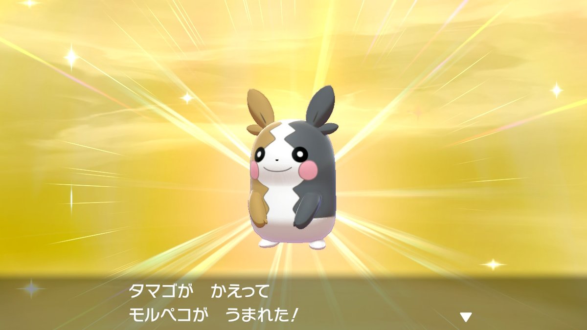 みづき ありがとうございます ようきねこだまし遺伝モルペコ いっぱいいるのでどうぞどうぞ みづき ありがとうございます ようきねこだまし遺伝モルペコ いっぱいいるのでどうぞどうぞ