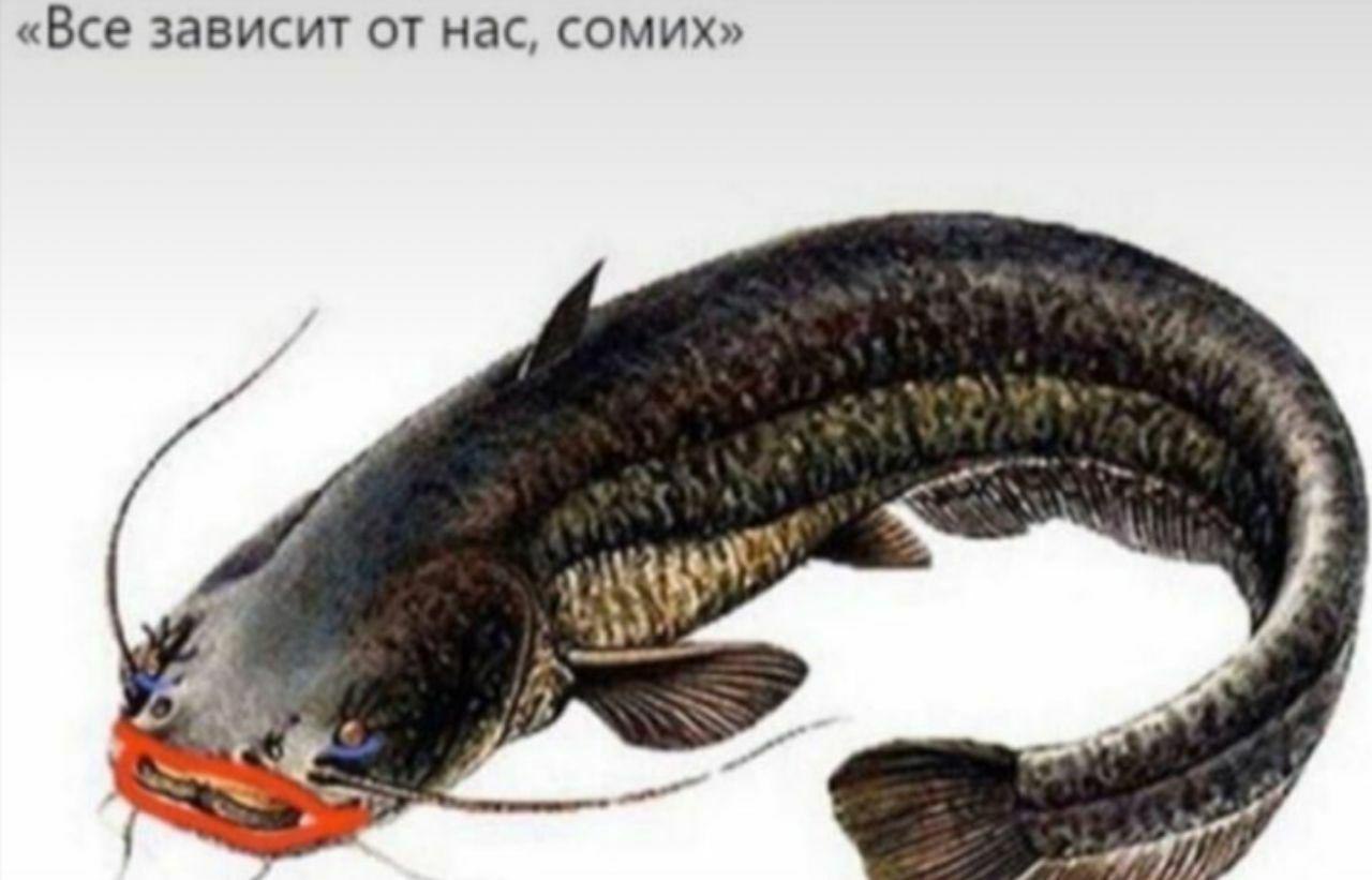 ELkTs8eWkAAjQMp?format=jpg&name=large