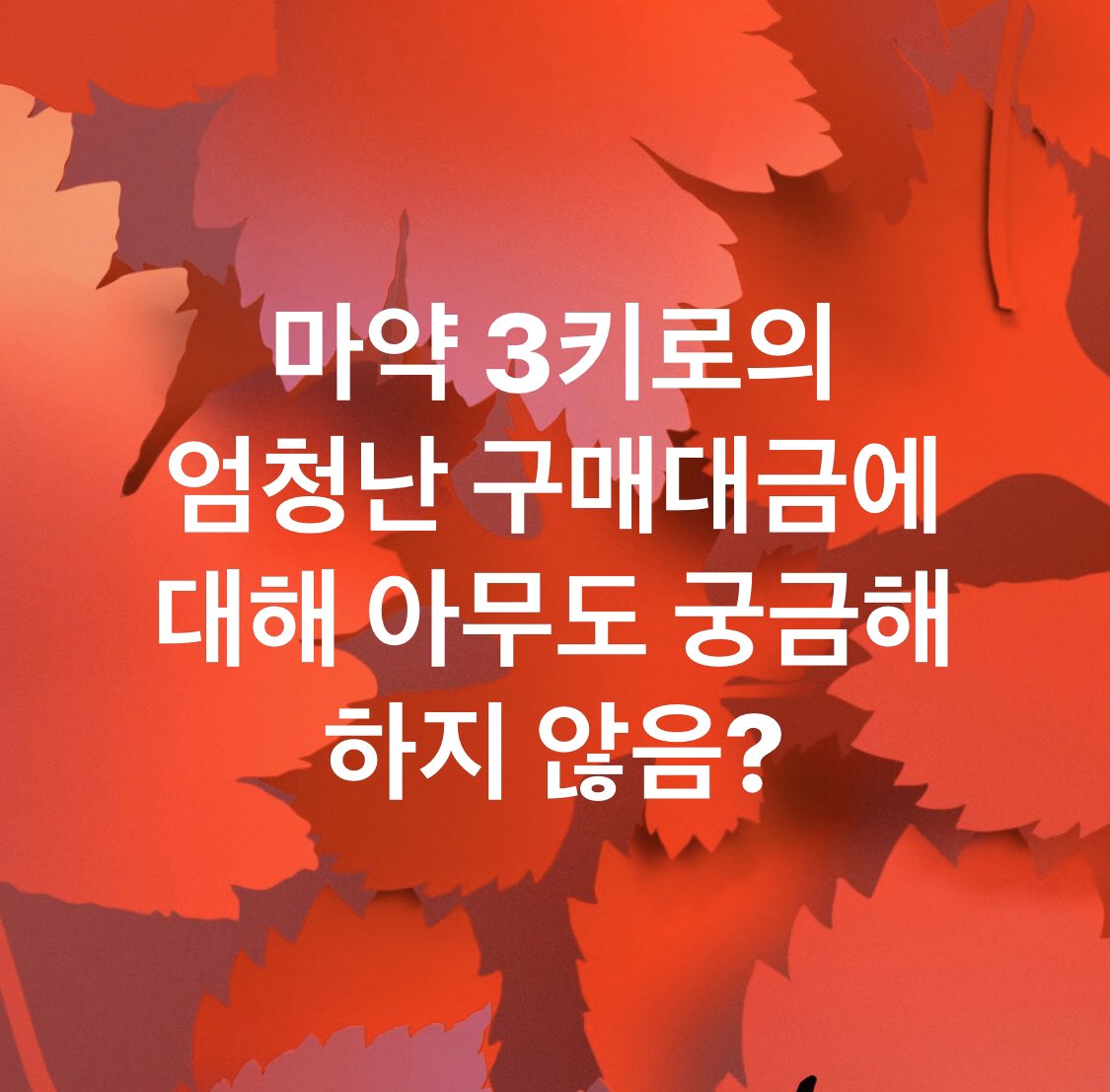 boxplus01's tweet photo. 마약 3키로의 엄청난 구매대금에 대해 아무도 궁금해 하지 않음? https://t.co/u88qIjYJdA