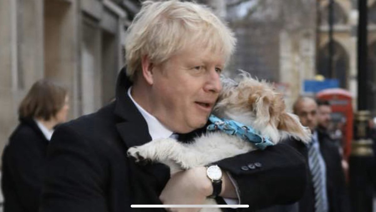 10.45pm - The Dog Whisperer (Film) ‘Heart-warming Rom-Com from Richard Curtis about a secret and forbidden relationship between a toff politician and a Brexit Party dog from the Romford’ (contains scenes of industrial estates and fast food chains who have lost their licence).