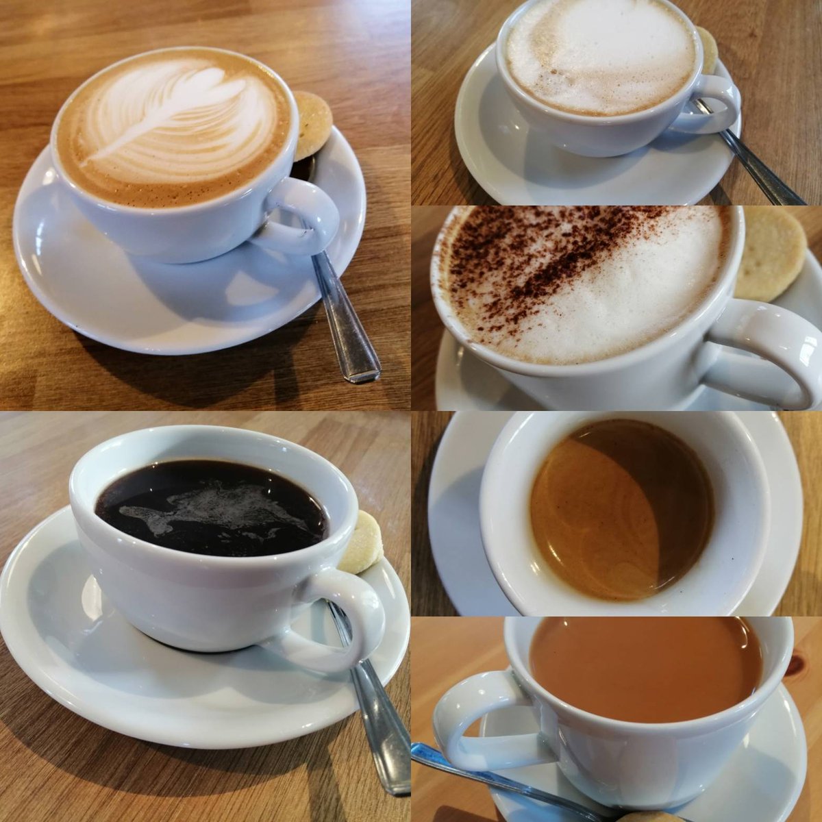 Decisions, decisions....