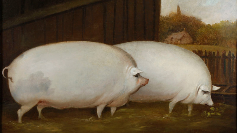 A painting of two pigs, which is usually accompanied with the caption "brother may I have some oats".