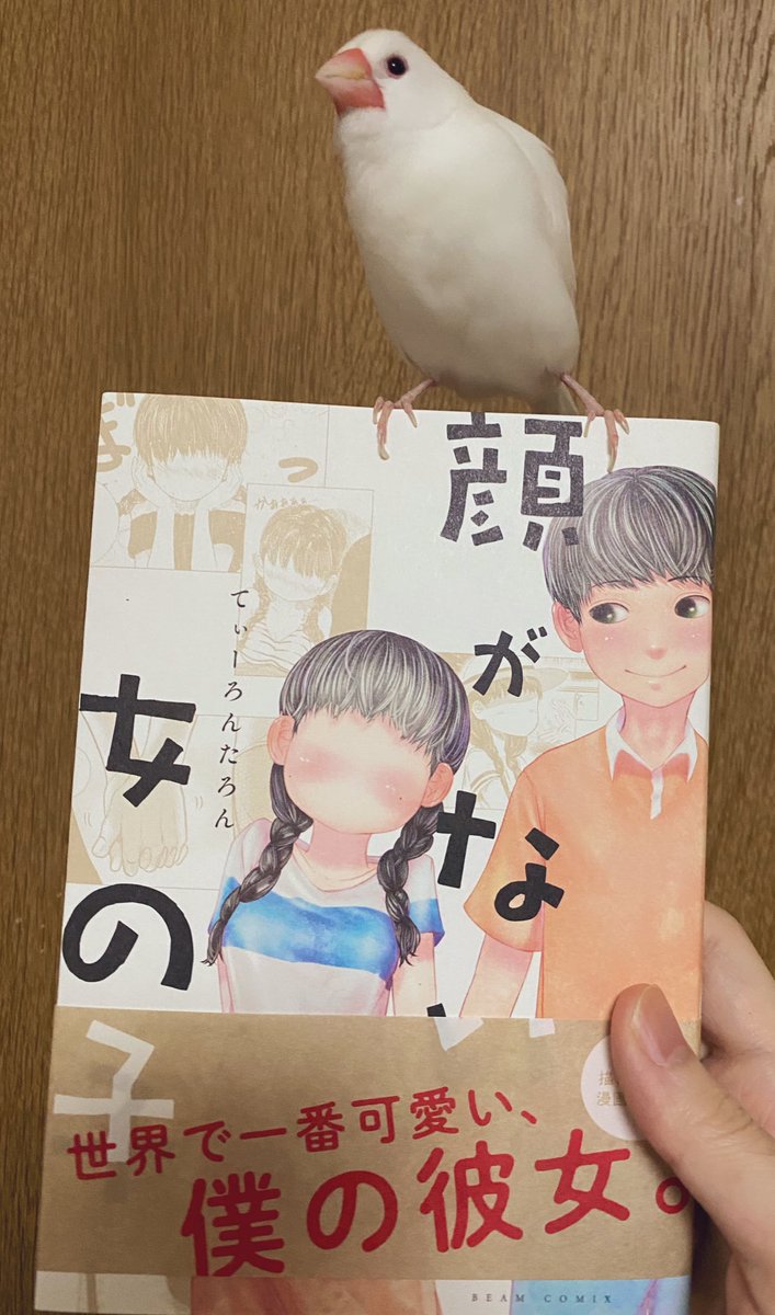 ウチに何度かお手伝いに来てくれたてぃーろんたろん先生の初単行本を頂きました!
顔ないのに可愛い!不思議! 