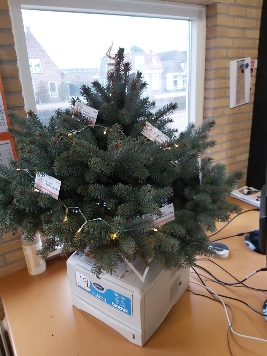 PosthumusBouw's tweet photo. Geen kerstballen maar visitekaartjes in de kerstboom! weer eens wat anders #Kerst2019 https://t.co/FKgH5ToPGp